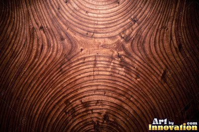 Tight quarter sawn wood grain with shimmering ray flecks along the board