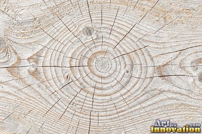 Flowing cathedral grain arches in a planed hardwood board