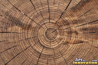 Tight quarter sawn wood grain with shimmering ray flecks along the board