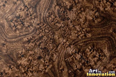 Spalted wood with thin dark zone lines wandering through pale grain