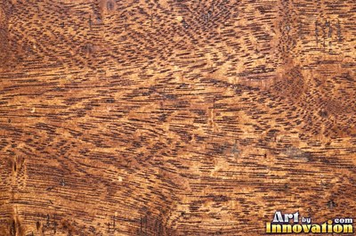 Rough sawn wood with circular saw marks crossing the open grain
