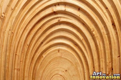 Spalted wood with thin dark zone lines wandering through pale grain