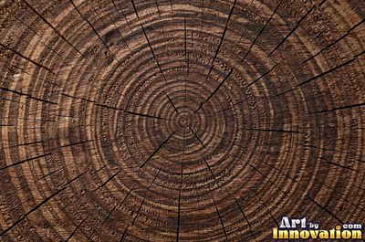 Rough sawn wood with circular saw marks crossing the open grain