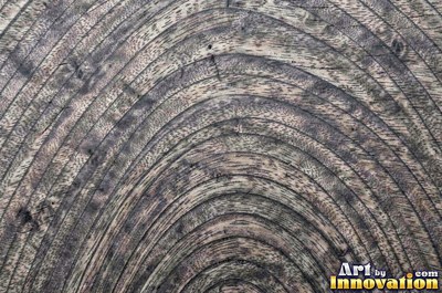 Flowing cathedral grain arches in a planed hardwood board