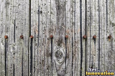 Rough hewn beams with axe marks and dark age cracks in cedar orange
