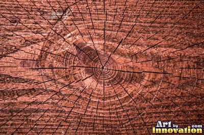 Old barn siding with peeling layers, splits and worn knots