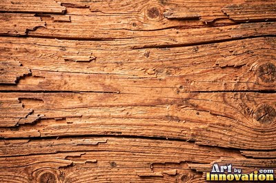 Driftwood smoothed by the sea with soft rounded grain ridges