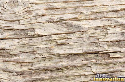 Rough hewn beams with axe marks and dark age cracks in cedar orange