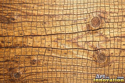 Driftwood smoothed by the sea with soft rounded grain ridges