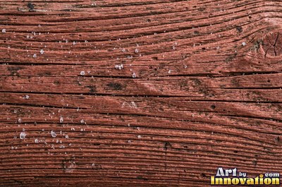 Rough hewn beams with axe marks and dark age cracks in cedar orange