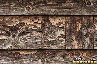 Driftwood smoothed by the sea with soft rounded grain ridges