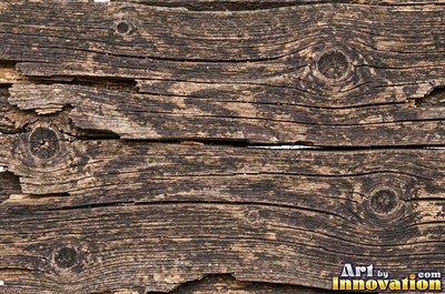 Rough hewn beams with axe marks and dark age cracks in cedar orange