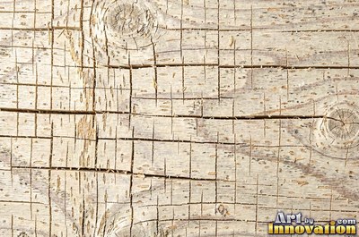 Driftwood smoothed by the sea with soft rounded grain ridges
