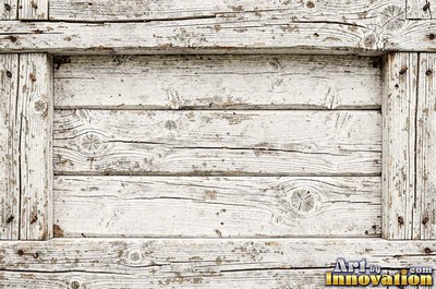 Driftwood smoothed by the sea with soft rounded grain ridges