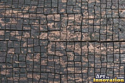Old barn siding with peeling layers, splits and worn knots