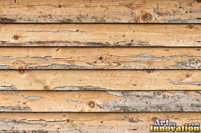 Old barn siding with peeling layers, splits and worn knots