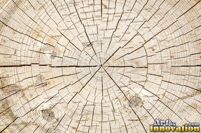 Rough hewn beams with axe marks and dark age cracks in cedar orange