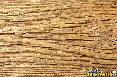 Driftwood smoothed by the sea with soft rounded grain ridges
