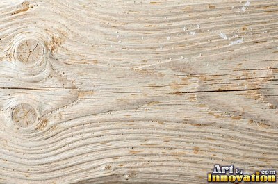 Driftwood smoothed by the sea with soft rounded grain ridges