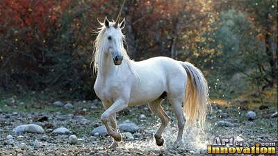 A pale white unicorn trots through a shallow stream in the woods