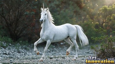 On a stony riverbed, a white unicorn trots forward past green bushes