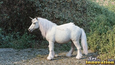Along a brushy hillside, a small white winged unicorn stands on gravel