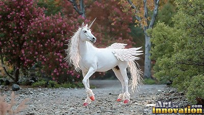 A winged unicorn walks along a gravel trail with soft autumn light on pink hooves