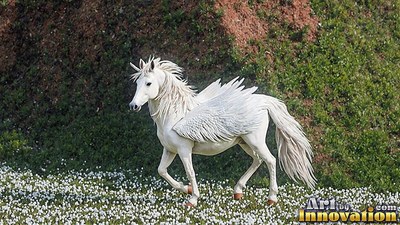 Across a white flower field, a horned winged horse trots near a green hillside