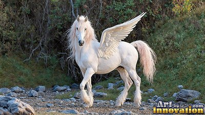 Feathered wings rise from a white winged horse stepping across a rocky riverbed in daylight