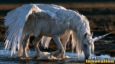 In shallow water, a white winged unicorn lowers its head to drink