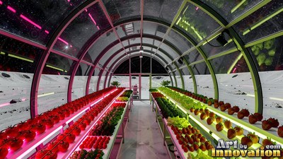 Growing under pink lights, rows of tomatoes fill an arched moon greenhouse