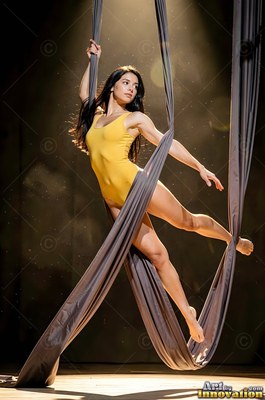 A woman in a yellow leotard hangs from gray aerial silks under a spotlight