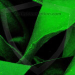 Amazing Graphics Art Collection: Modern Technology Green & Black - HD Desktop Wallpaper & Backgrounds.