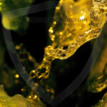 Amazing Graphics Art Collection: Modern Technology Yellow & Black - HD Desktop Wallpaper & Backgrounds.