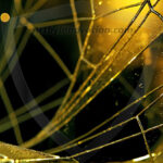 Amazing Graphics Art Collection: Modern Technology Yellow & Black - HD Desktop Wallpaper & Backgrounds.