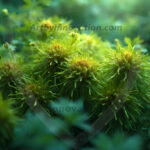 The Elements, Backgrounds & Wallpaper Art - HD Desktop Wallpaper & backgrounds. Truly Amazing Backgrounds with such diversity of content. Earth, Wind, Fire, Water, to precious metals all from the real world and fantasy settings and all AI generated images.