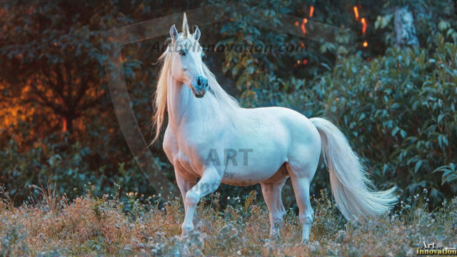 A majestic white alicorn rearing up on its hind legs atop a rocky hillside, large crimson and coral-red feathered wings spread wide, flowing cream and golden mane and tail swept by the wind, spiraling rose-pink horn, muscular luminous white coat with warm golden light, surrounded by blooming pink wildflowers in the foreground, dramatic fantasy landscape behind with a winding river fjord cutting through a misty valley, jagged mountain peaks on both sides, small rocky islands in distant water, golden sunset sky with billowing peach and amber clouds lit from beneath, small glowing red orb floating in the mid-distance left, cinematic epic fantasy atmosphere, volumetric golden light, photorealistic digital art, ultra-detailed, 8K resolution, dramatic low angle composition