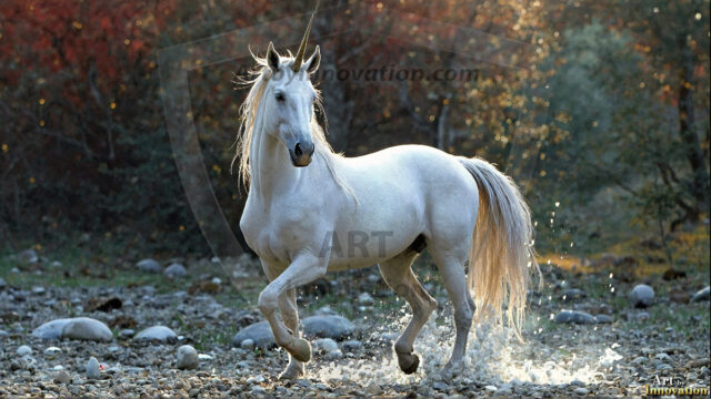 A majestic white alicorn rearing up on its hind legs atop a rocky hillside, large crimson and coral-red feathered wings spread wide, flowing cream and golden mane and tail swept by the wind, spiraling rose-pink horn, muscular luminous white coat with warm golden light, surrounded by blooming pink wildflowers in the foreground, dramatic fantasy landscape behind with a winding river fjord cutting through a misty valley, jagged mountain peaks on both sides, small rocky islands in distant water, golden sunset sky with billowing peach and amber clouds lit from beneath, small glowing red orb floating in the mid-distance left, cinematic epic fantasy atmosphere, volumetric golden light, photorealistic digital art, ultra-detailed, 8K resolution, dramatic low angle composition