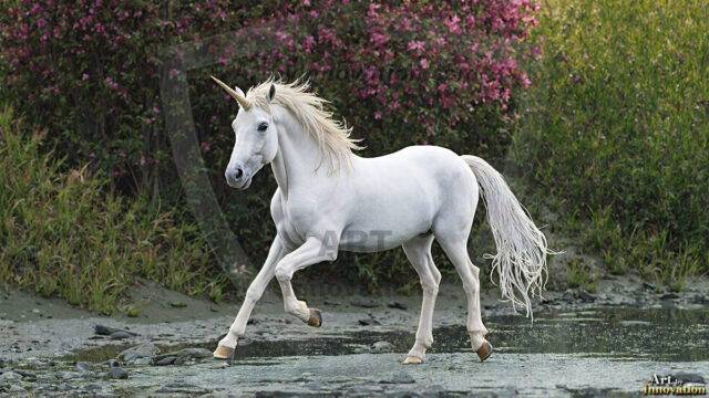 A majestic white alicorn rearing up on its hind legs atop a rocky hillside, large crimson and coral-red feathered wings spread wide, flowing cream and golden mane and tail swept by the wind, spiraling rose-pink horn, muscular luminous white coat with warm golden light, surrounded by blooming pink wildflowers in the foreground, dramatic fantasy landscape behind with a winding river fjord cutting through a misty valley, jagged mountain peaks on both sides, small rocky islands in distant water, golden sunset sky with billowing peach and amber clouds lit from beneath, small glowing red orb floating in the mid-distance left, cinematic epic fantasy atmosphere, volumetric golden light, photorealistic digital art, ultra-detailed, 8K resolution, dramatic low angle composition