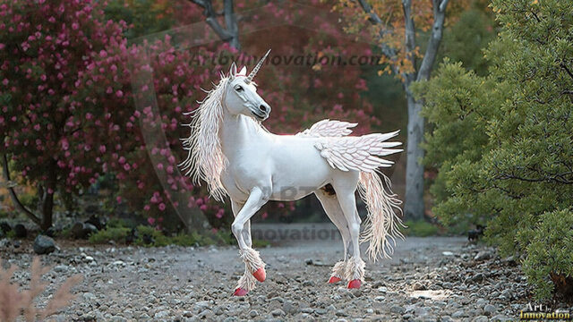 A majestic white alicorn rearing up on its hind legs atop a rocky hillside, large crimson and coral-red feathered wings spread wide, flowing cream and golden mane and tail swept by the wind, spiraling rose-pink horn, muscular luminous white coat with warm golden light, surrounded by blooming pink wildflowers in the foreground, dramatic fantasy landscape behind with a winding river fjord cutting through a misty valley, jagged mountain peaks on both sides, small rocky islands in distant water, golden sunset sky with billowing peach and amber clouds lit from beneath, small glowing red orb floating in the mid-distance left, cinematic epic fantasy atmosphere, volumetric golden light, photorealistic digital art, ultra-detailed, 8K resolution, dramatic low angle composition