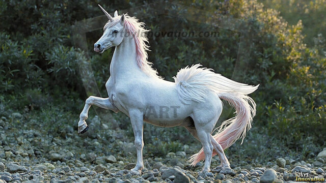 A majestic white alicorn rearing up on its hind legs atop a rocky hillside, large crimson and coral-red feathered wings spread wide, flowing cream and golden mane and tail swept by the wind, spiraling rose-pink horn, muscular luminous white coat with warm golden light, surrounded by blooming pink wildflowers in the foreground, dramatic fantasy landscape behind with a winding river fjord cutting through a misty valley, jagged mountain peaks on both sides, small rocky islands in distant water, golden sunset sky with billowing peach and amber clouds lit from beneath, small glowing red orb floating in the mid-distance left, cinematic epic fantasy atmosphere, volumetric golden light, photorealistic digital art, ultra-detailed, 8K resolution, dramatic low angle composition