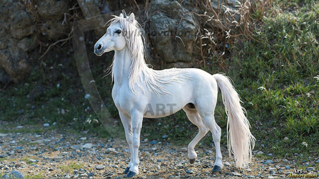 A majestic white alicorn rearing up on its hind legs atop a rocky hillside, large crimson and coral-red feathered wings spread wide, flowing cream and golden mane and tail swept by the wind, spiraling rose-pink horn, muscular luminous white coat with warm golden light, surrounded by blooming pink wildflowers in the foreground, dramatic fantasy landscape behind with a winding river fjord cutting through a misty valley, jagged mountain peaks on both sides, small rocky islands in distant water, golden sunset sky with billowing peach and amber clouds lit from beneath, small glowing red orb floating in the mid-distance left, cinematic epic fantasy atmosphere, volumetric golden light, photorealistic digital art, ultra-detailed, 8K resolution, dramatic low angle composition