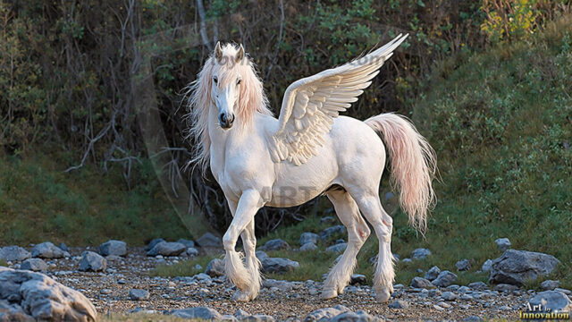 A majestic white alicorn rearing up on its hind legs atop a rocky hillside, large crimson and coral-red feathered wings spread wide, flowing cream and golden mane and tail swept by the wind, spiraling rose-pink horn, muscular luminous white coat with warm golden light, surrounded by blooming pink wildflowers in the foreground, dramatic fantasy landscape behind with a winding river fjord cutting through a misty valley, jagged mountain peaks on both sides, small rocky islands in distant water, golden sunset sky with billowing peach and amber clouds lit from beneath, small glowing red orb floating in the mid-distance left, cinematic epic fantasy atmosphere, volumetric golden light, photorealistic digital art, ultra-detailed, 8K resolution, dramatic low angle composition