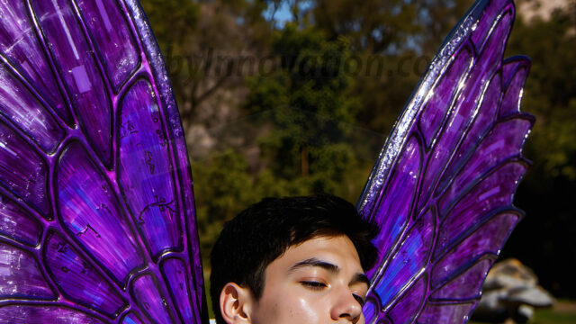 Brought to life through AI, Capturing the Pristine and Elusive Male Fairy. Imagine a realm where handsome shirtless men & boys possess enormous, shimmering crystal wings, vibrant and radiant, capturing and reflecting the light of the environment in a mesmerizing way, and adding a touch of mystery to their intense visage. Outdoors in a fantasy mysterious enchanted realm.