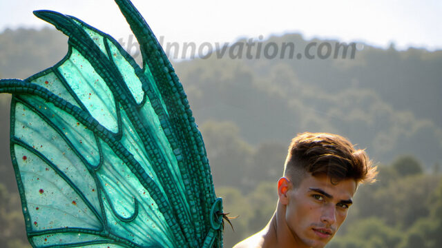 Brought to life through AI, Capturing the Pristine and Elusive Male Fairy. Imagine a realm where handsome shirtless men & boys possess enormous, shimmering crystal wings, vibrant and radiant, capturing and reflecting the light of the environment in a mesmerizing way, and adding a touch of mystery to their intense visage. Outdoors in a fantasy mysterious enchanted realm.