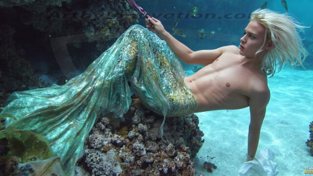 AI-generated HD photos featuring Mermen, The Warriors of the Sea. A collection of over 1,000 AI generated photo images of Mermen Warriors. Shirtless men from all age groups, with slim builds to hot and sexy, muscular body types, and from teenaged boys, to young men, to the handsome Elders. Merman warriors rising from a whirlpool, with a trident in hand, set against a stormy backdrop with dramatic lighting. Vibrant coral reefs, with detailed underwater scenes, highly realistic, with obsidian scales, that shimmer in the sunlight.