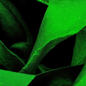 Amazing Graphics Art Collection: Modern Technology Green & Black - HD Desktop Wallpaper & Backgrounds.