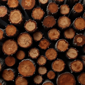 Amazing Digital Graphics Art Collection - Beautiful Wood Graphic Textures Designs