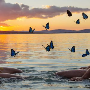 The Beautiful & Handsome Men Art Collection, A high-resolution photograph of two handsome best friends, half submerged in water, covered in body paint. Butterfly's flying about, as they spend time together, with a smile on their faces.