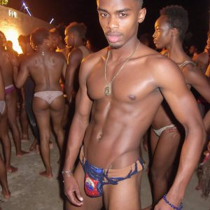 Bad Boys Naked Beach Party II. A full-body composition of a nude young man standing near a crackling bonfire, on a serene moonlit night at the beach. The gentle glow of the flames, flickers across his shinny wet body, catching his contours, and highlighting his muscular physique and handsome face. People everywhere partying, dancing to the music, having a good time together, naked, and free.
